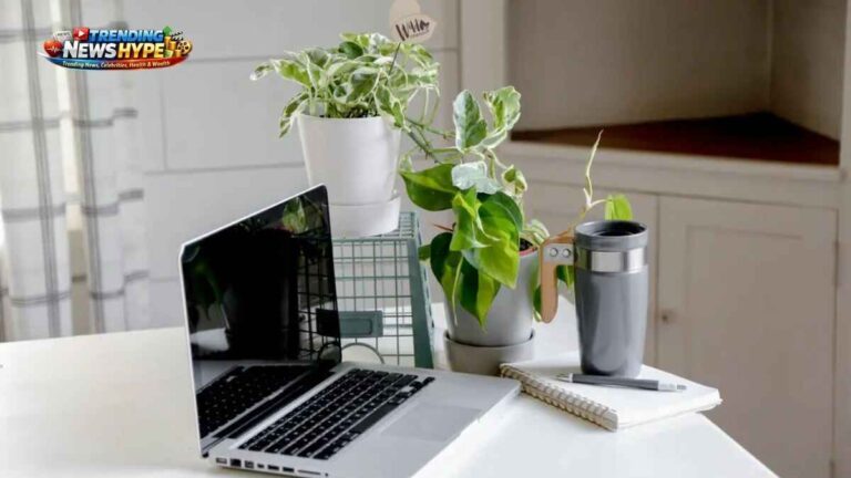 Benefits of Indoor Plants for Home and Office