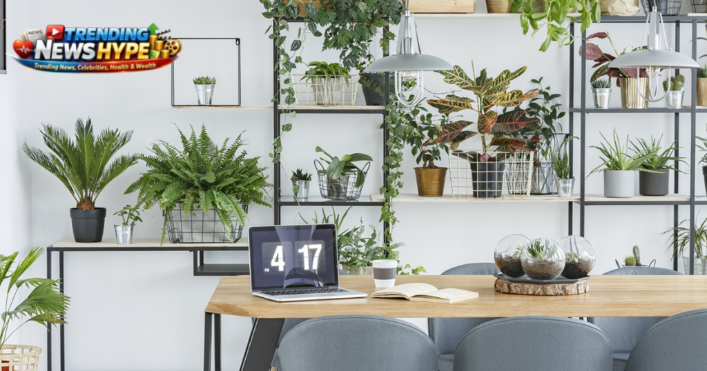 Best Plants for Office Decoration