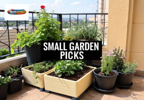 Best Plants for Small Garden Spaces