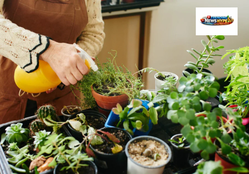 Choosing a Location for Your Garden