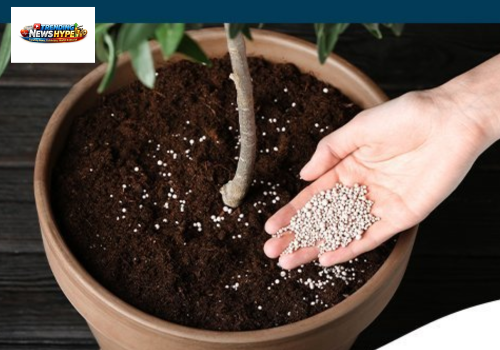 _Houseplant Fertilizer