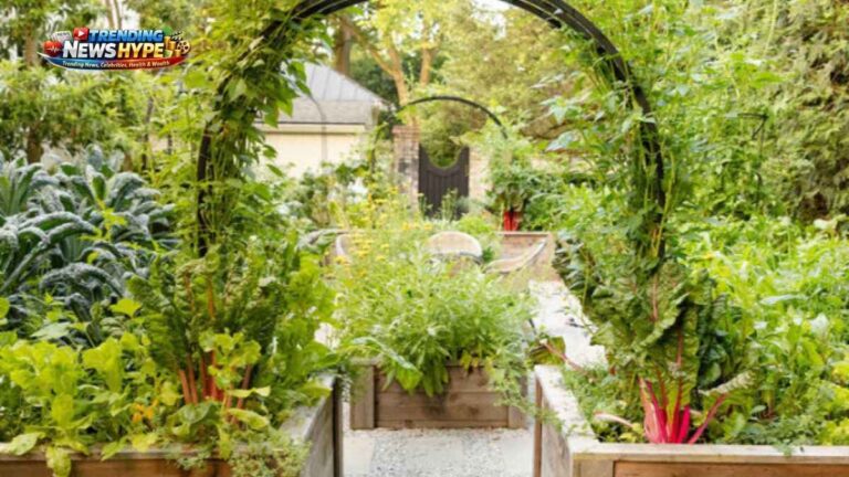 How to Start a HOUSE Garden A Step-by-Step Guide