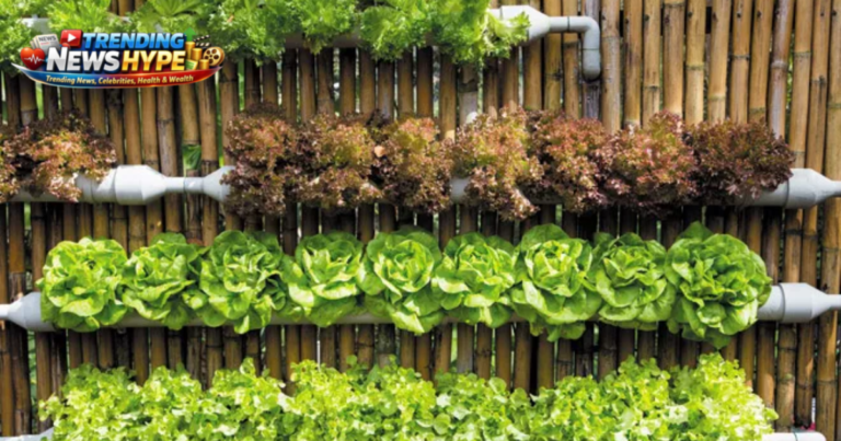 Hydroponic Gardening for Beginners