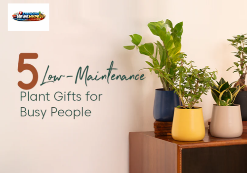 Low-Maintenance Plants