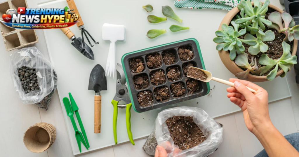 Plant Propagation for Beginners