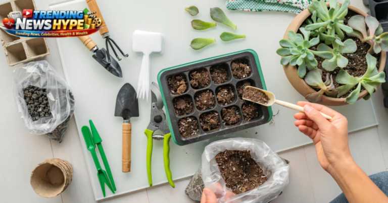 Plant Propagation for Beginners