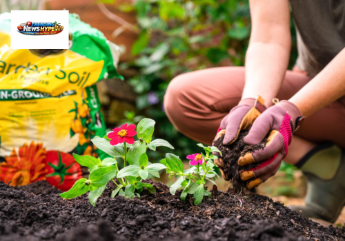 Planting Your Garden.