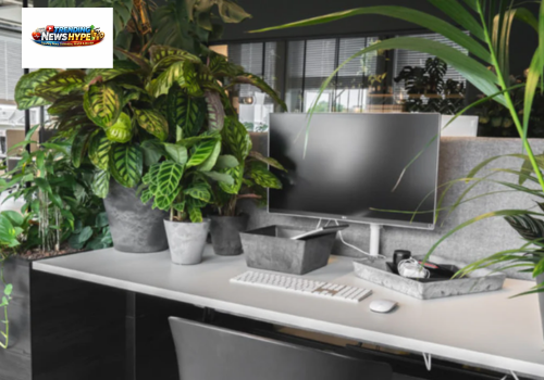 office plant