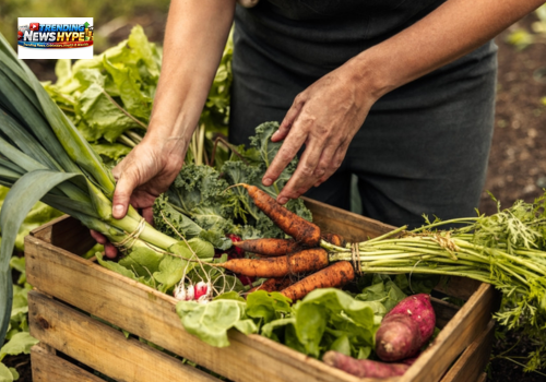 Home-grown vegetables
