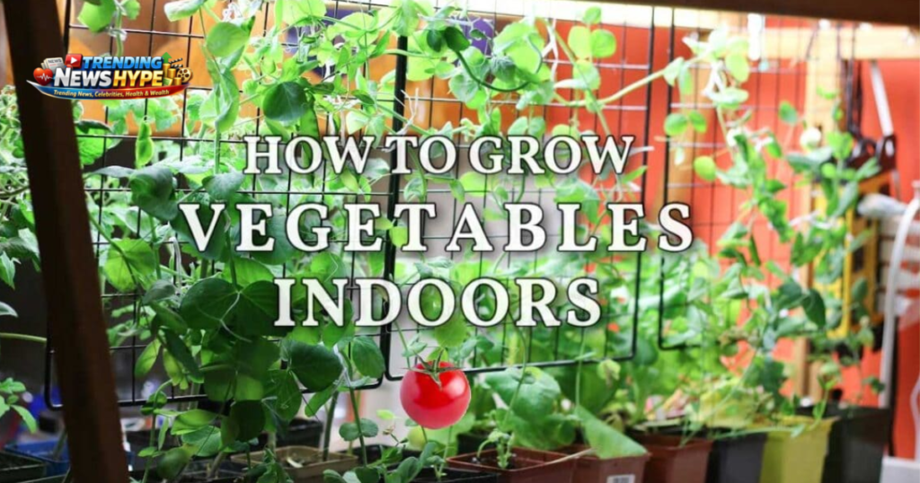 Grow a Year-Round Salad Garden in Containers Easy Guide for Beginners
