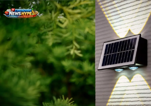 How to Choose and Use Solar-Powered Garden Lighting in 2026