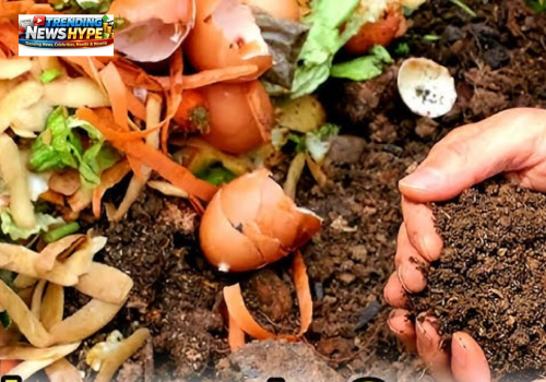 compost kitchen waste