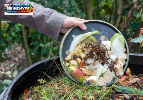 Making compost at home
