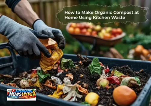 How to Make Organic Compost at Home Using Kitchen Waste
