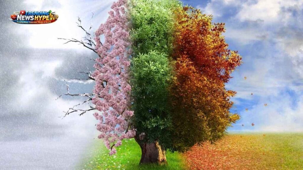 How Plants Can Change Your Mood When You Feel Sad.